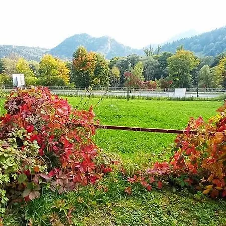 Zwinka Szczawnica